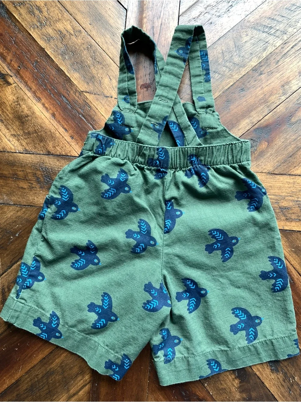 Gymboree Olive Green Overalls with Blue Bird Print